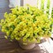 Artificial Flowers for Outdoors Decoration, 12 Bundles Fake Yellow Morning (Yellow) 5"D x 5"W x 4"H